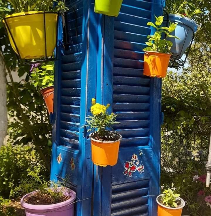 Apartamento Το Σπίτι Της Ελένης Vlachia Exterior foto