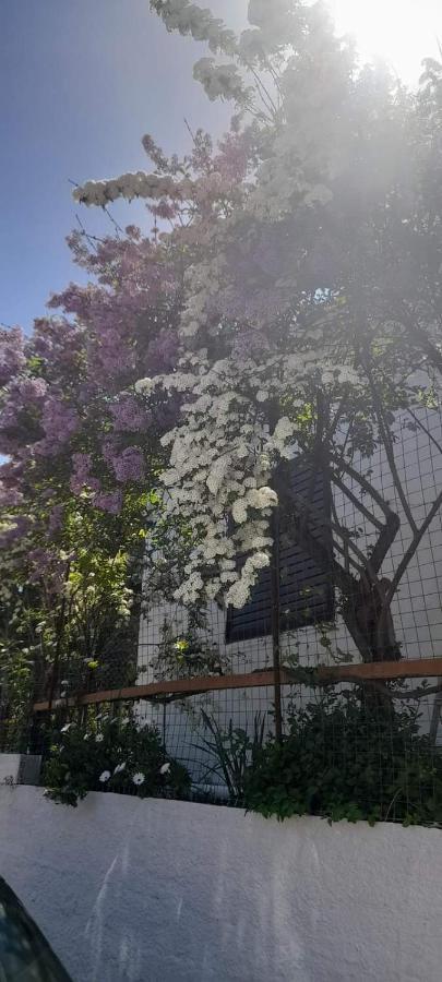 Apartamento Το Σπίτι Της Ελένης Vlachia Exterior foto