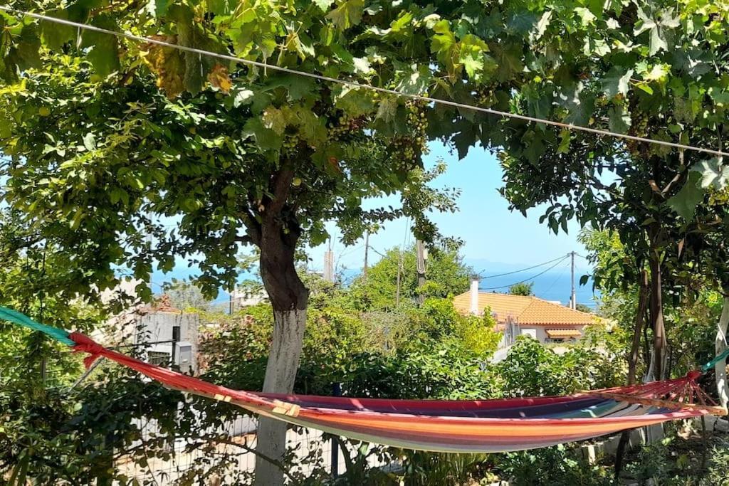 Apartamento Το Σπίτι Της Ελένης Vlachia Exterior foto