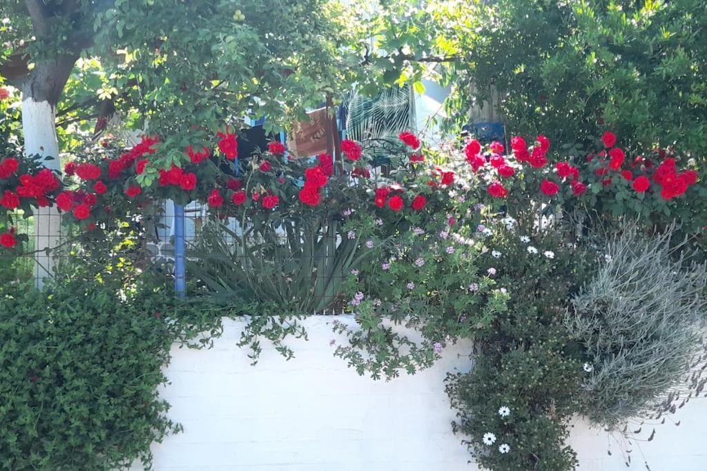 Apartamento Το Σπίτι Της Ελένης Vlachia Exterior foto