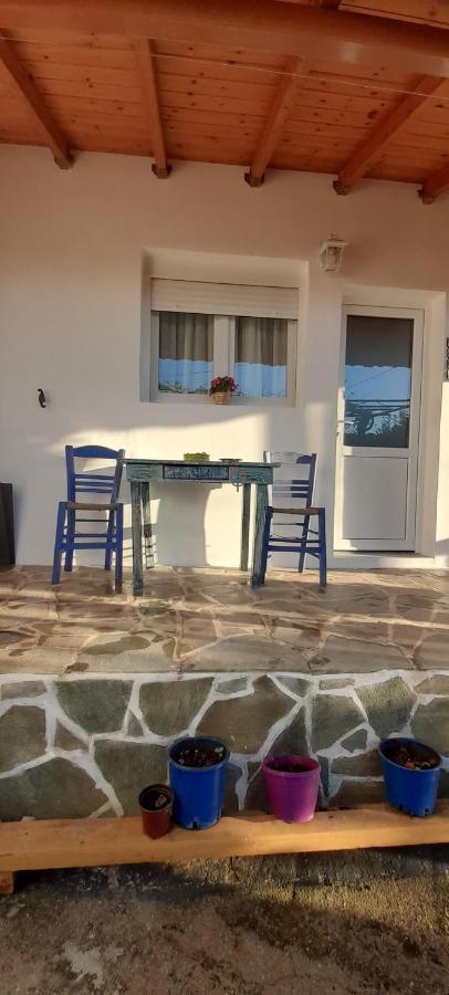 Apartamento Το Σπίτι Της Ελένης Vlachia Exterior foto