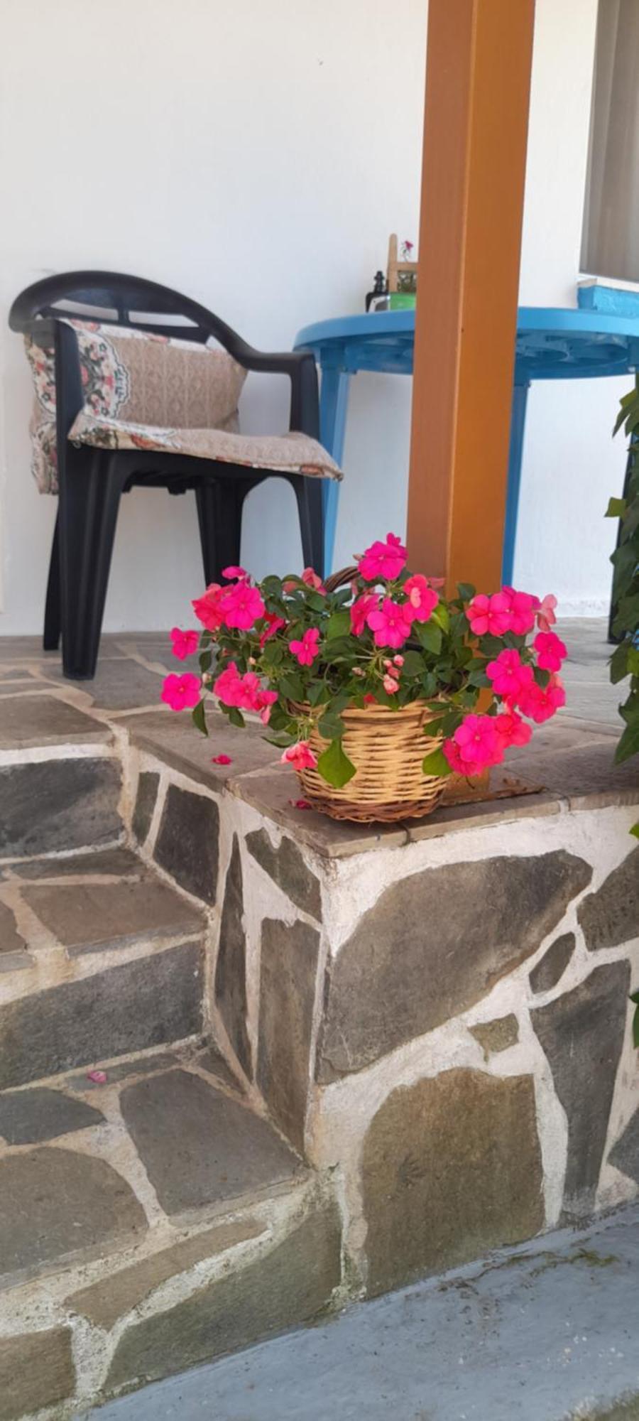 Apartamento Το Σπίτι Της Ελένης Vlachia Exterior foto