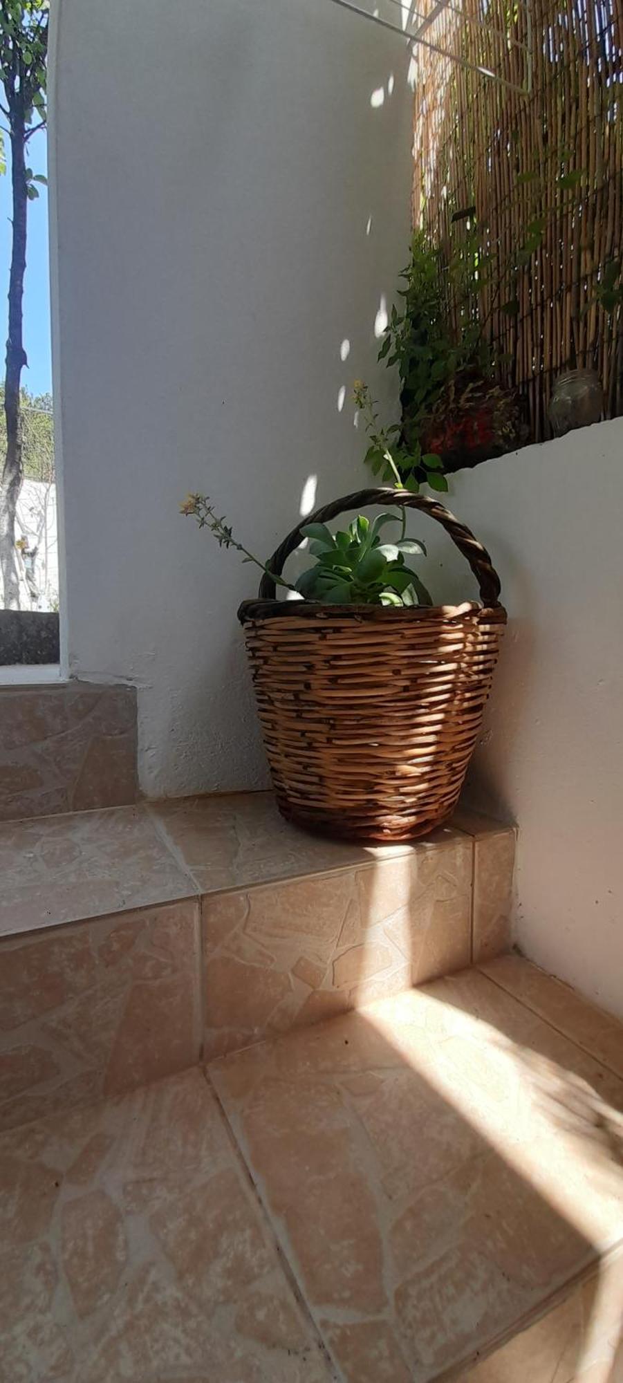 Apartamento Το Σπίτι Της Ελένης Vlachia Exterior foto