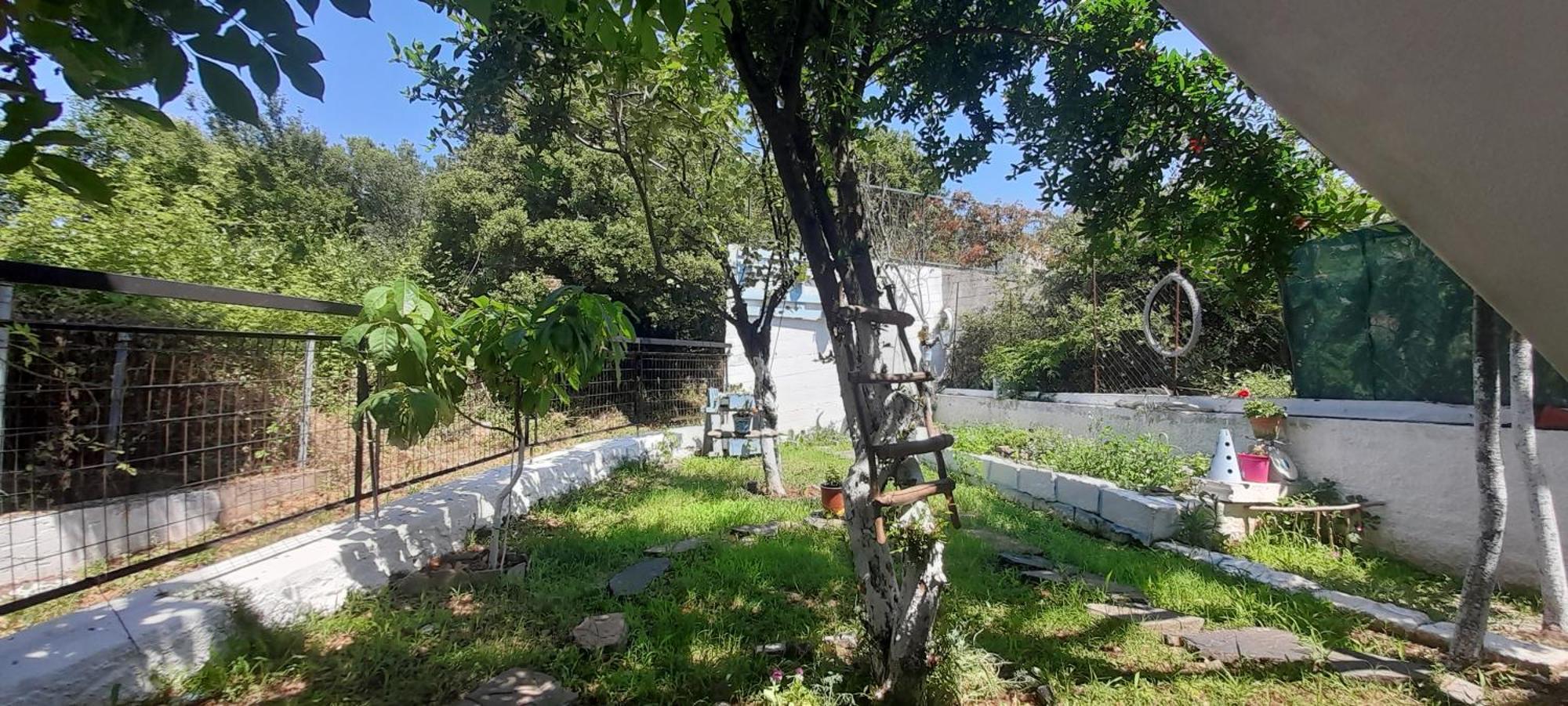 Apartamento Το Σπίτι Της Ελένης Vlachia Exterior foto